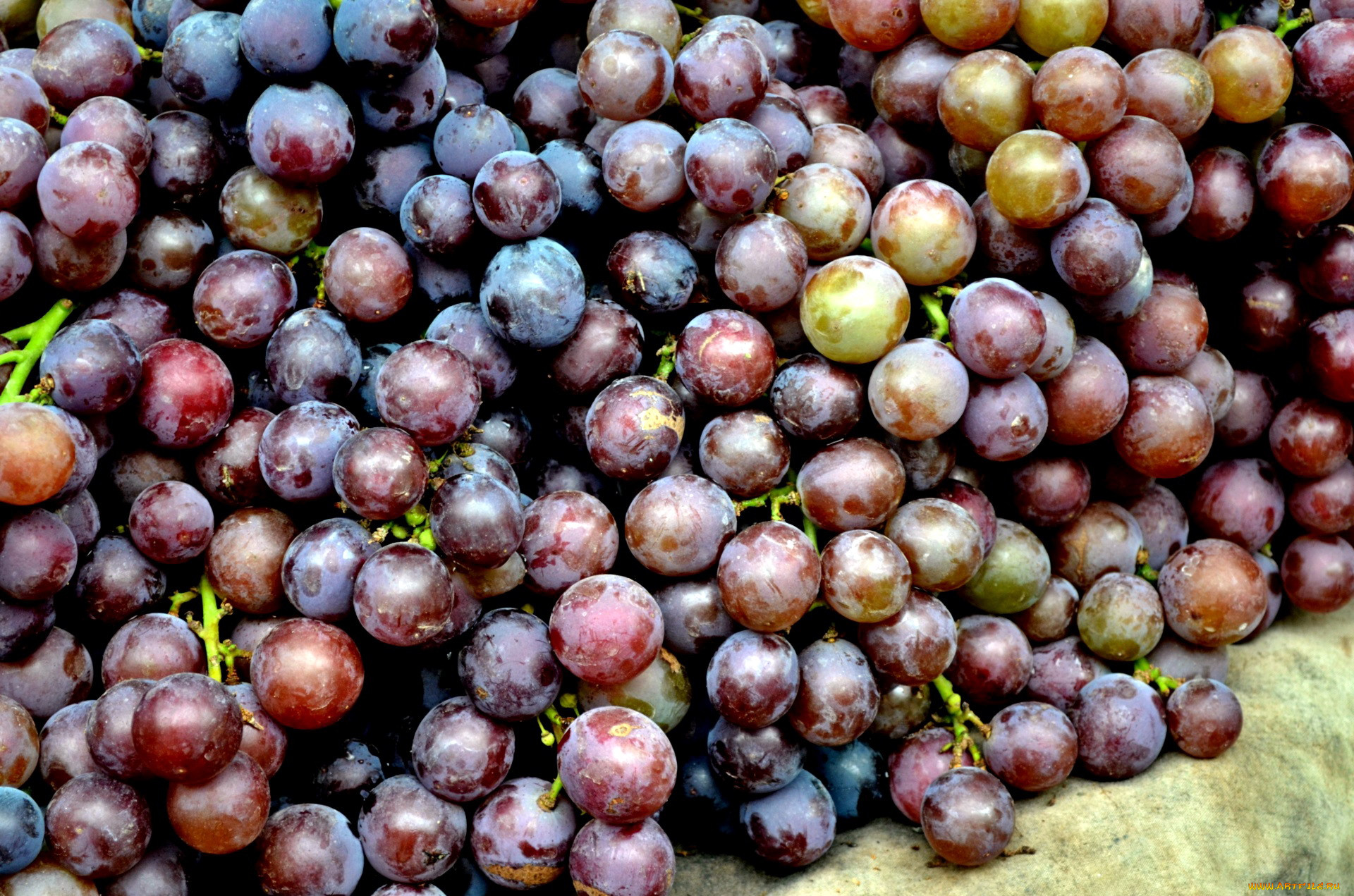 Виноград в больших количествах. Много винограда. Виноград Испания. Блюда из винограда. Виноград Перу.